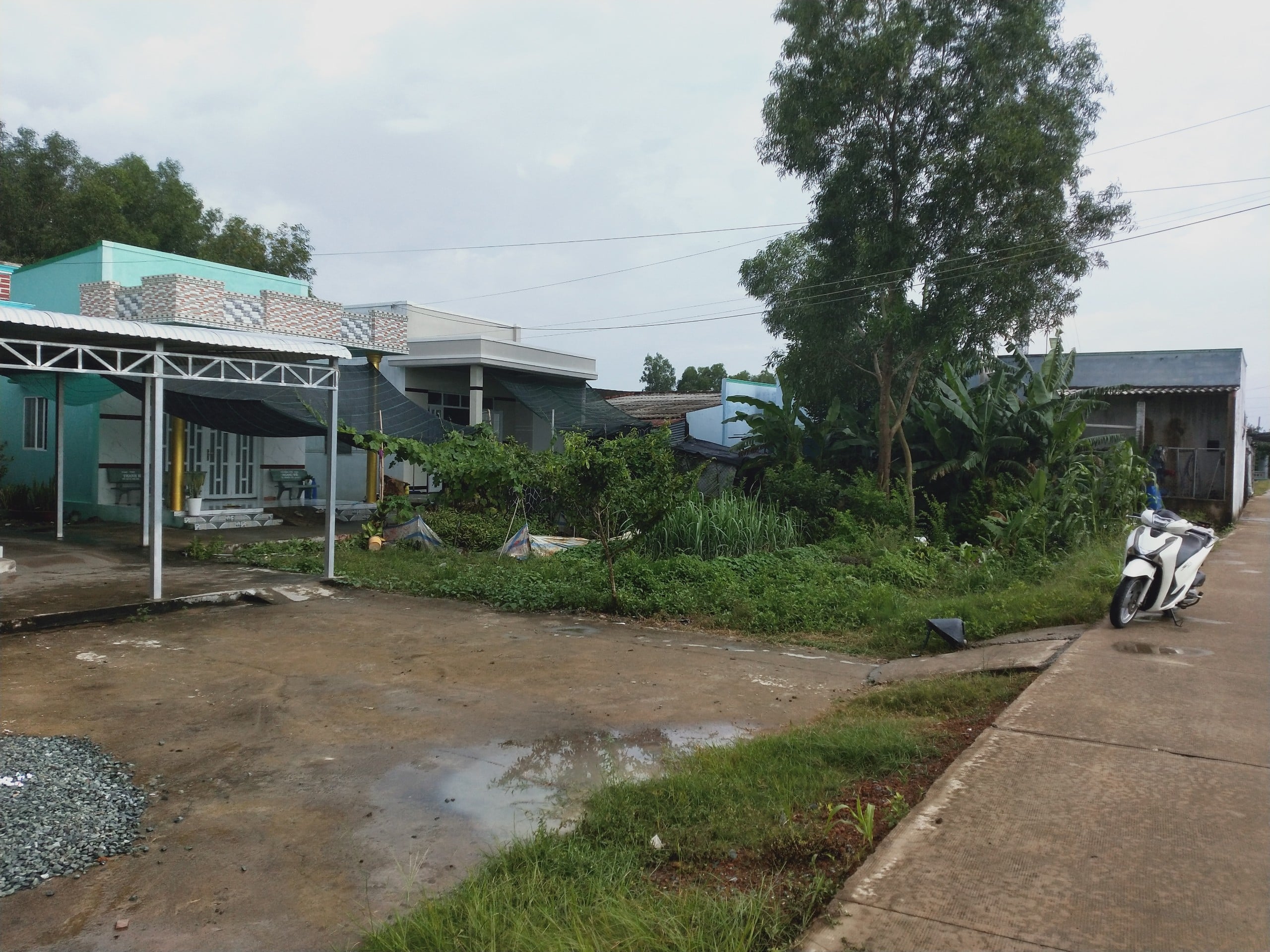 Đất mặt tiền đường nông thôn xã Đông Thạnh huyện Cần Giuộc