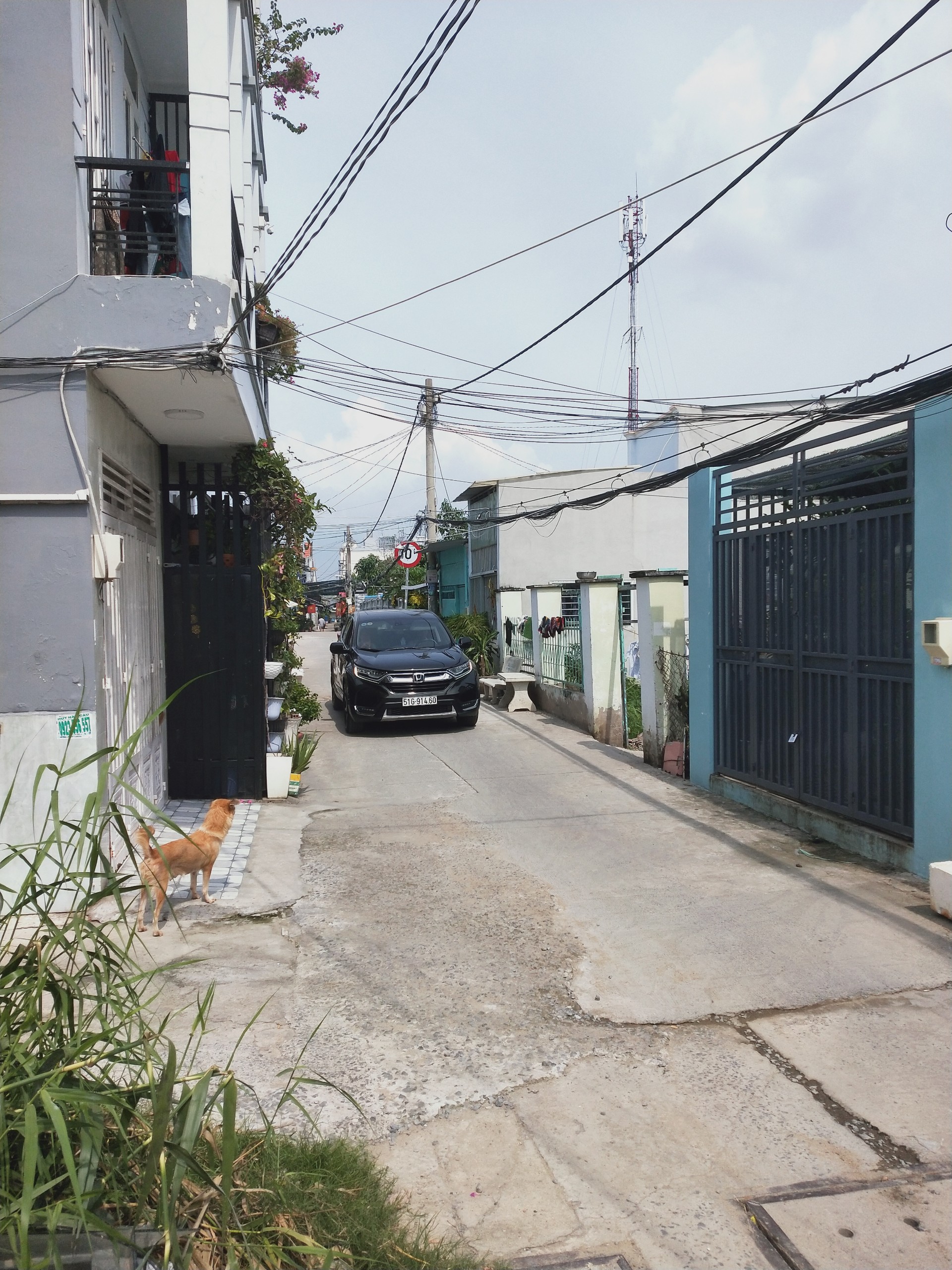 Nhà cấp 4 giá rẻ cơ hội cho khách đầu tư ngay từ vòng đầu tiên chỉ cần hơn 2 tỷ